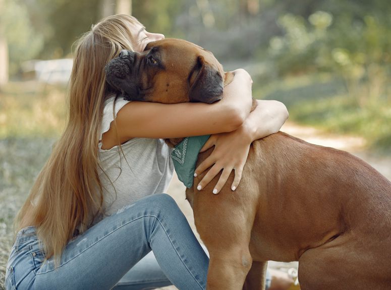 Οι πραγματικές ανάγκες του σκύλου και τα προβλήματα που προκύπτουν στην προσπάθεια ανθρωποποίησής του. | Μέρος 1ο